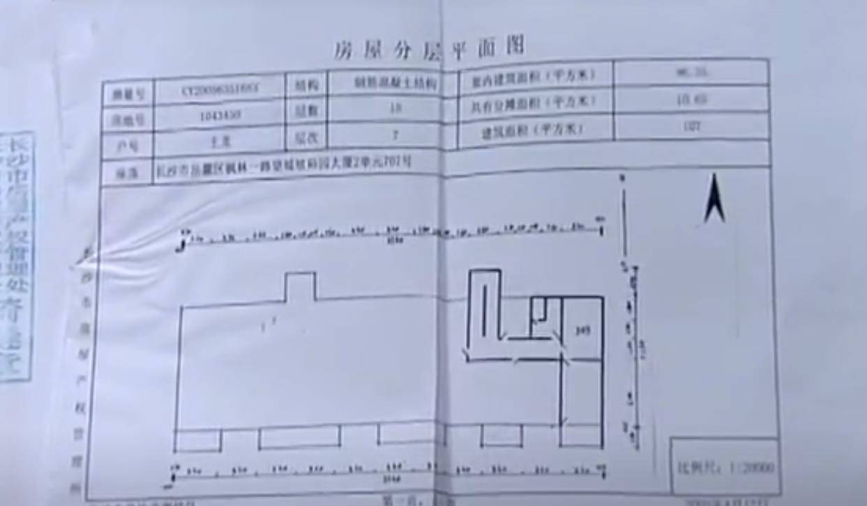 王龙的房产证"抱歉,您这本房产证是假的",工作人员的判断犹如一根银针