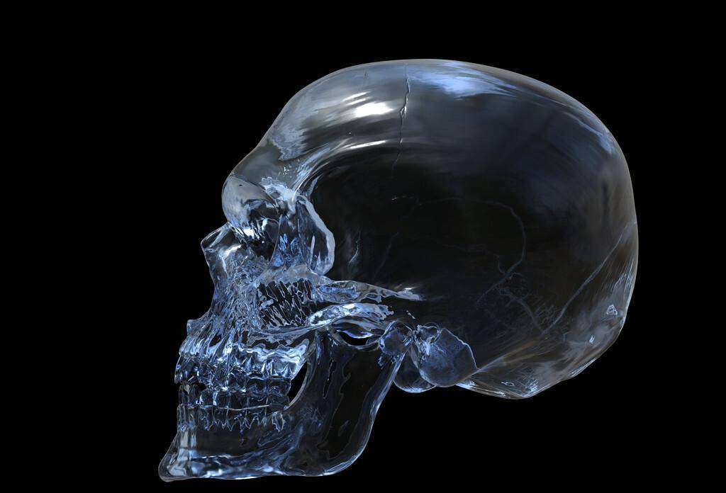 世纪骗局-传说中的玛雅13个水晶头骨