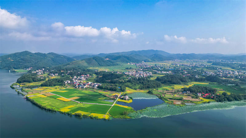 湖南邵阳县:醉美天子湖 击桨竞风流