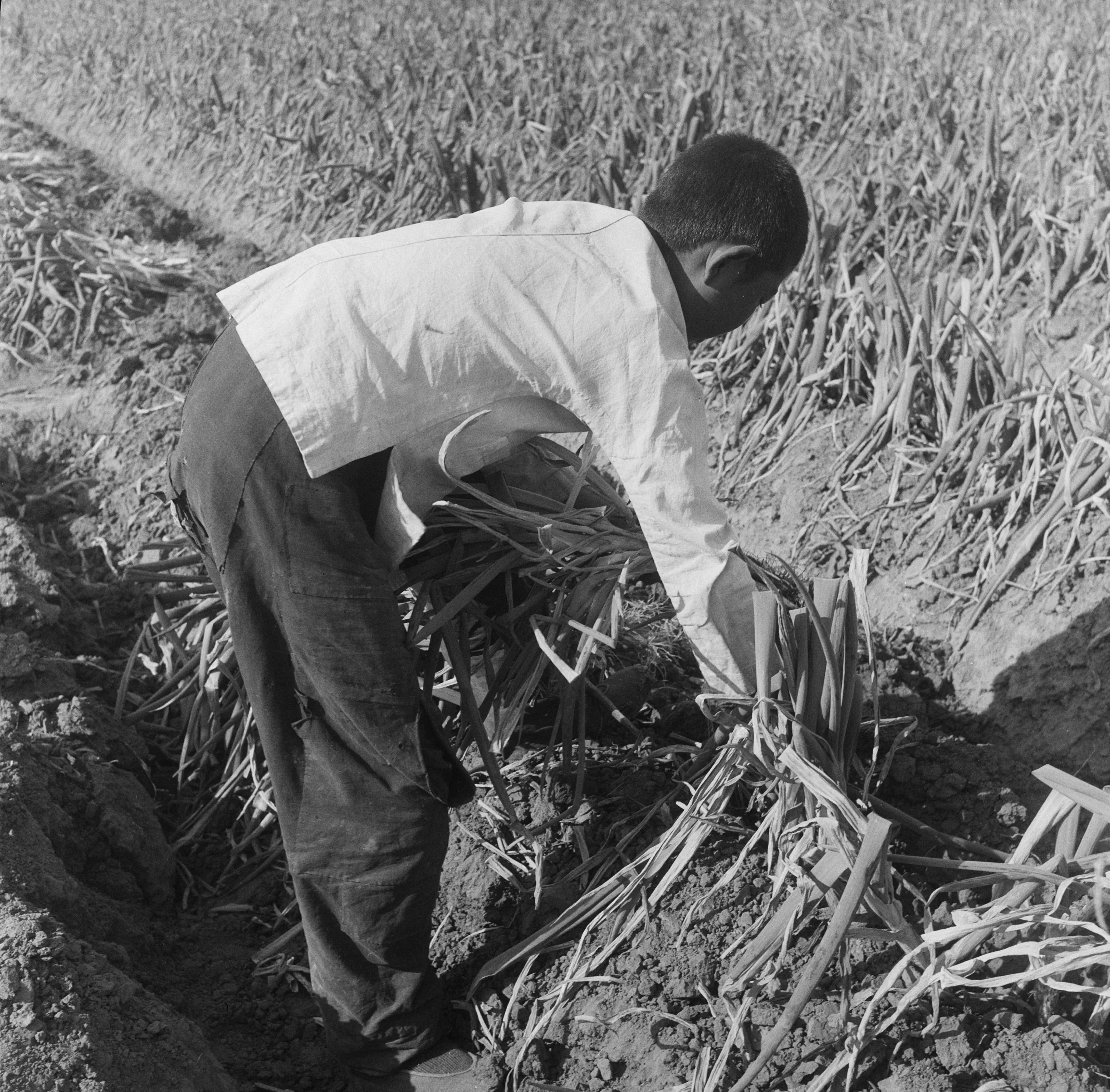 清朝末年的几张照片