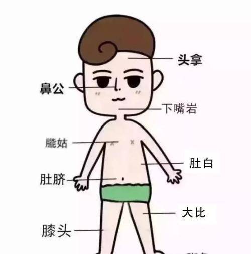 男人身体部位介绍图片