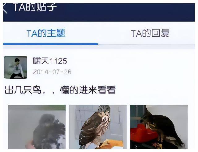 因掏鸟窝被判10年的男孩,即将出狱,父亲:判的比人贩子还重!