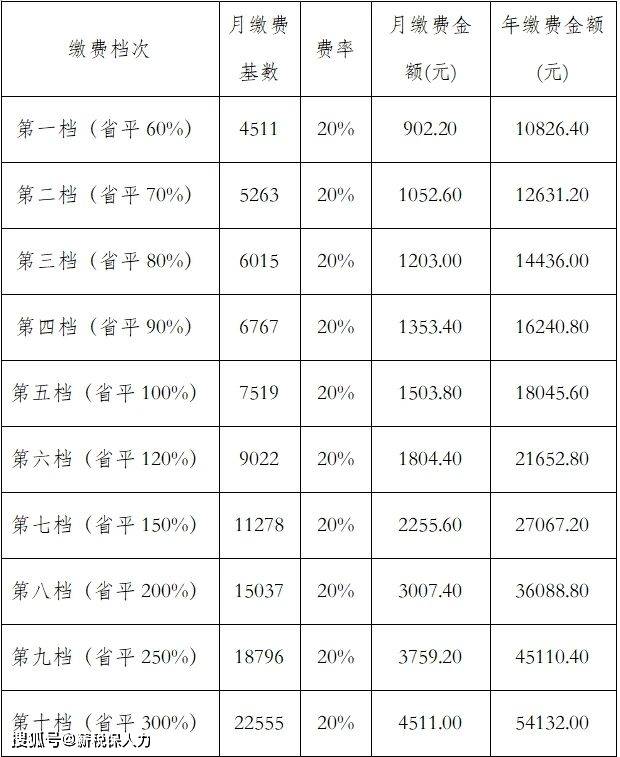 四川省攀枝花,广元,巴中2024年灵活就业社保缴费基数标准