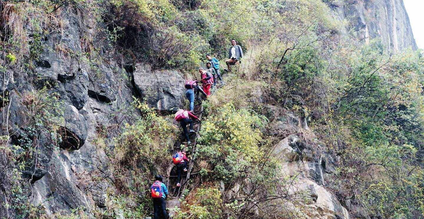 凉山藤梯图片