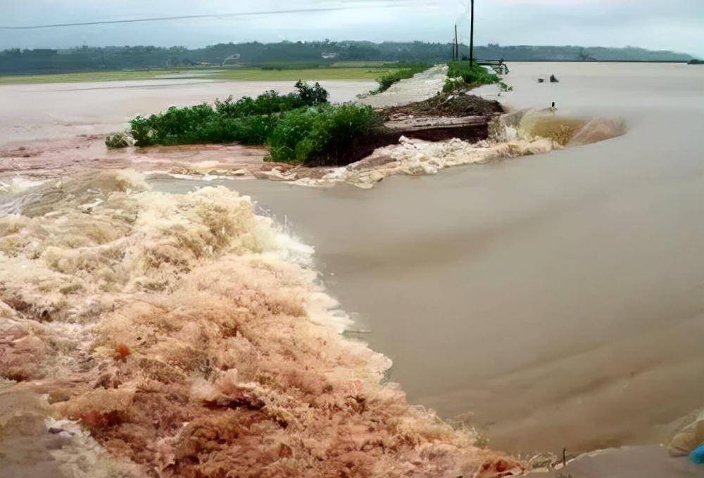 1998年特大洪水中,7岁女孩抱树9小时后获救,长大后决定回馈社会
