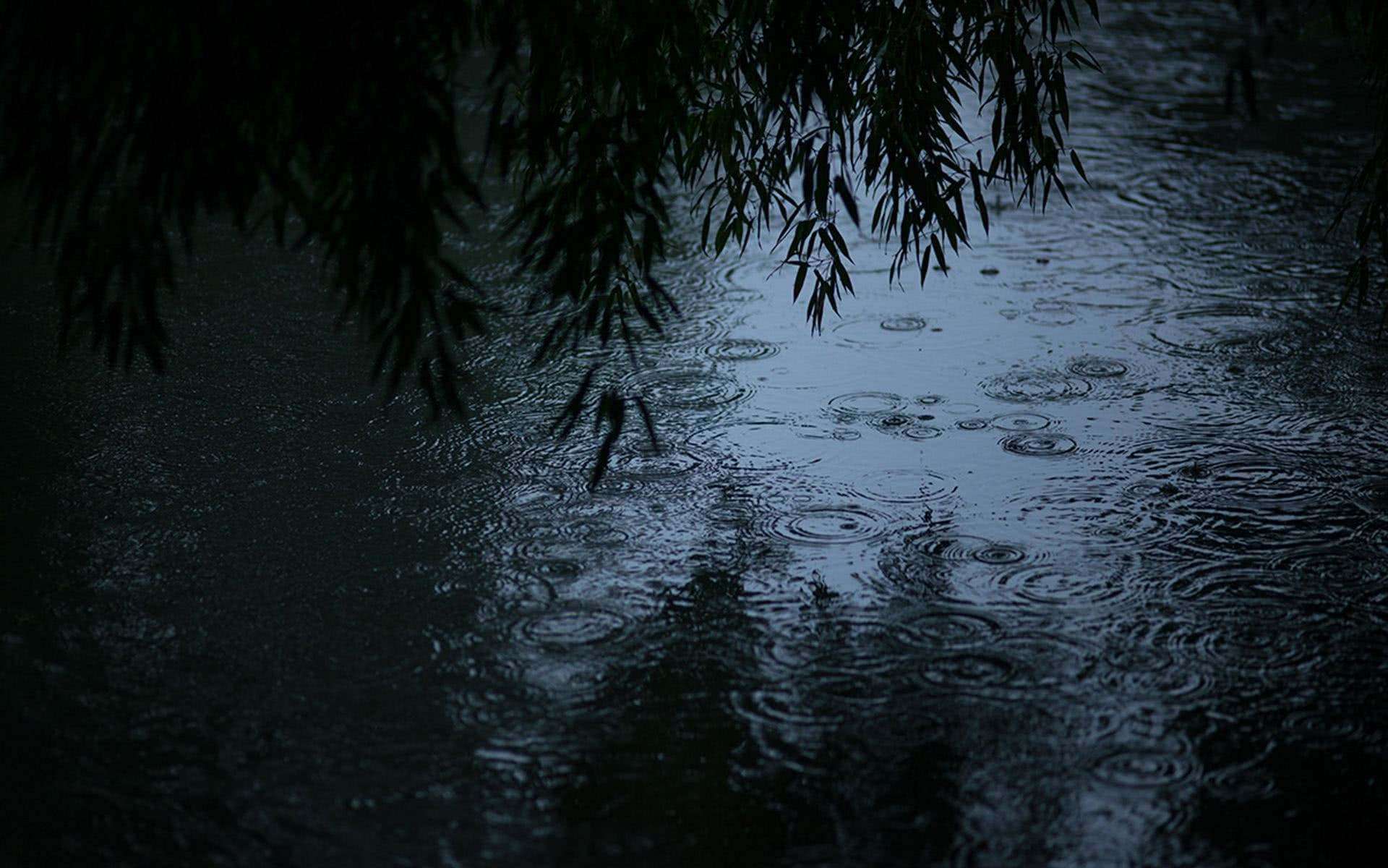 秋窗风雨夕背景图片