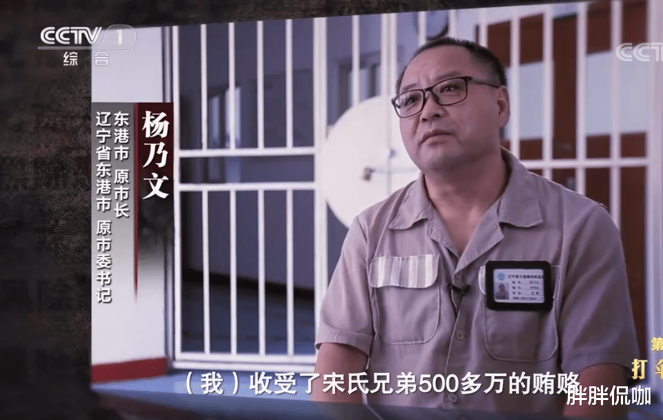 "辽宁王"宋氏三兄弟,称霸30年敛财80亿,2任书记自愿做保护伞