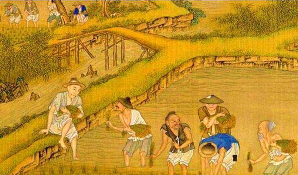 皇帝的播种