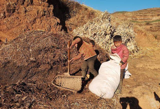 贫困山区学生的自白:叔叔阿姨,暑假请不要来我们这里支教了!