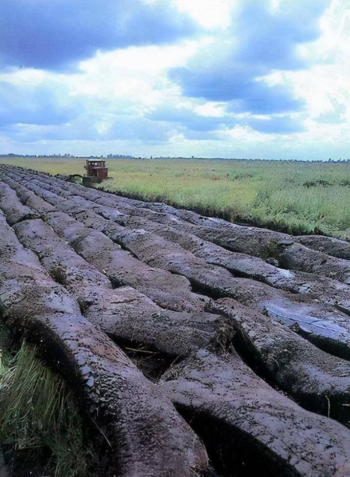 黑土地面积最大的五个国家,美国第一,俄罗斯第三,乌克兰第四
