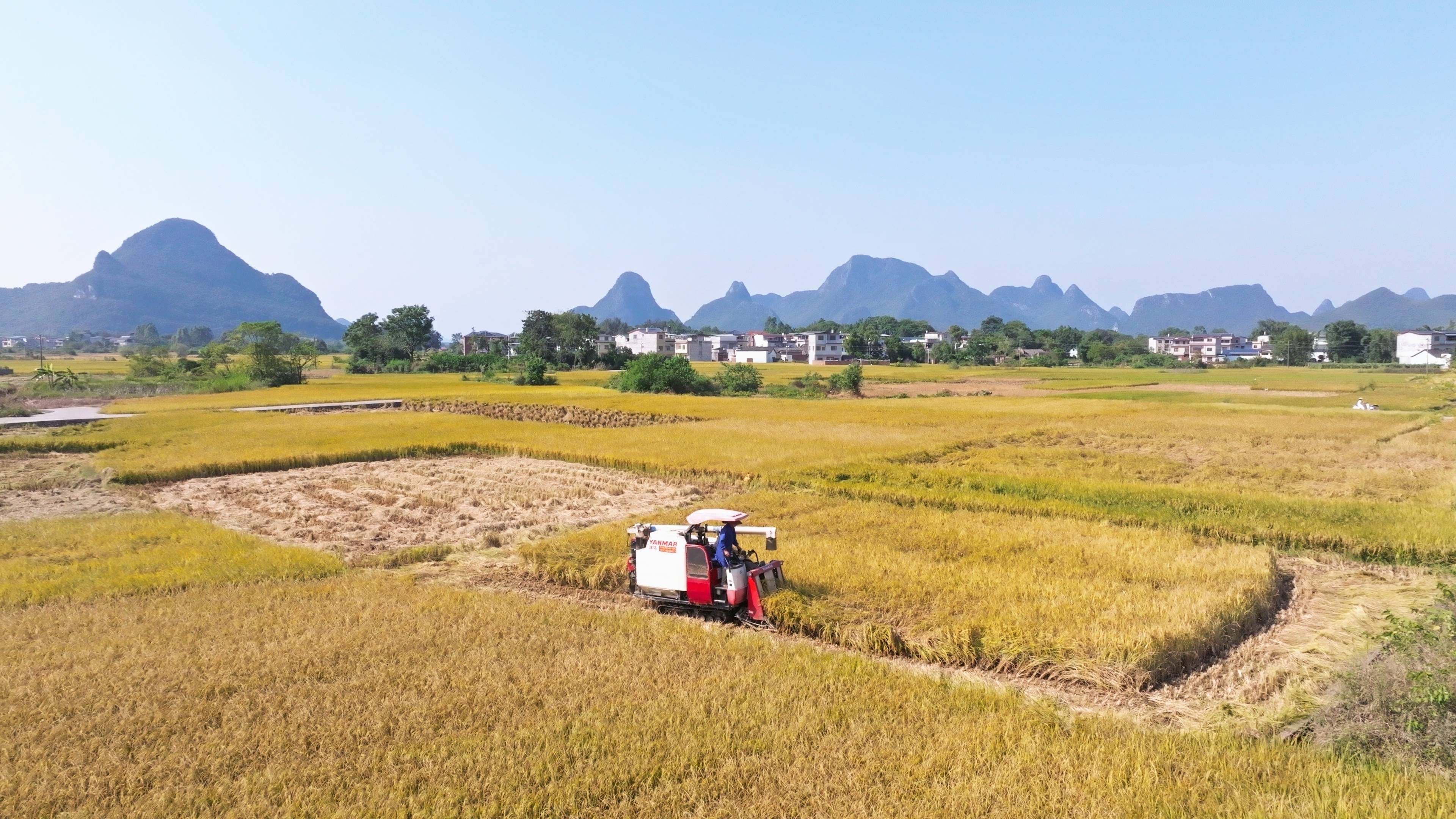 赣南稻田 里的隐忧 耕地保护相关图片4