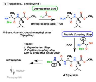 使用BOC（叔丁氧羰基）液相合成多肽的方法-Hypeptide