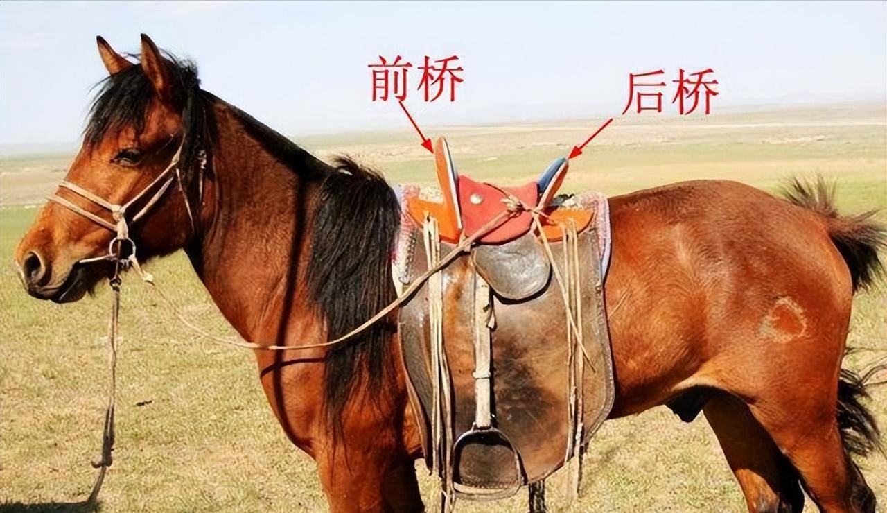 比如欧洲骑兵的马鞍都非常高且僵硬,后鞍几乎完全包住骑士臀部,前鞍则
