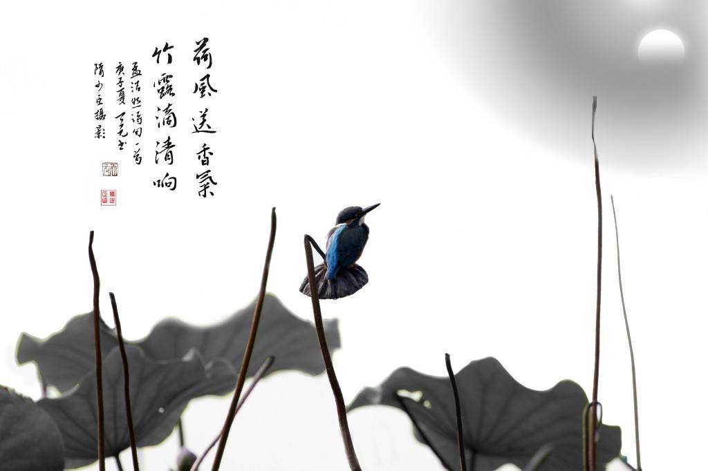 《镜头里歌唱的灵魂》李天元创作 隋少臣摄影 艺术作品赏析