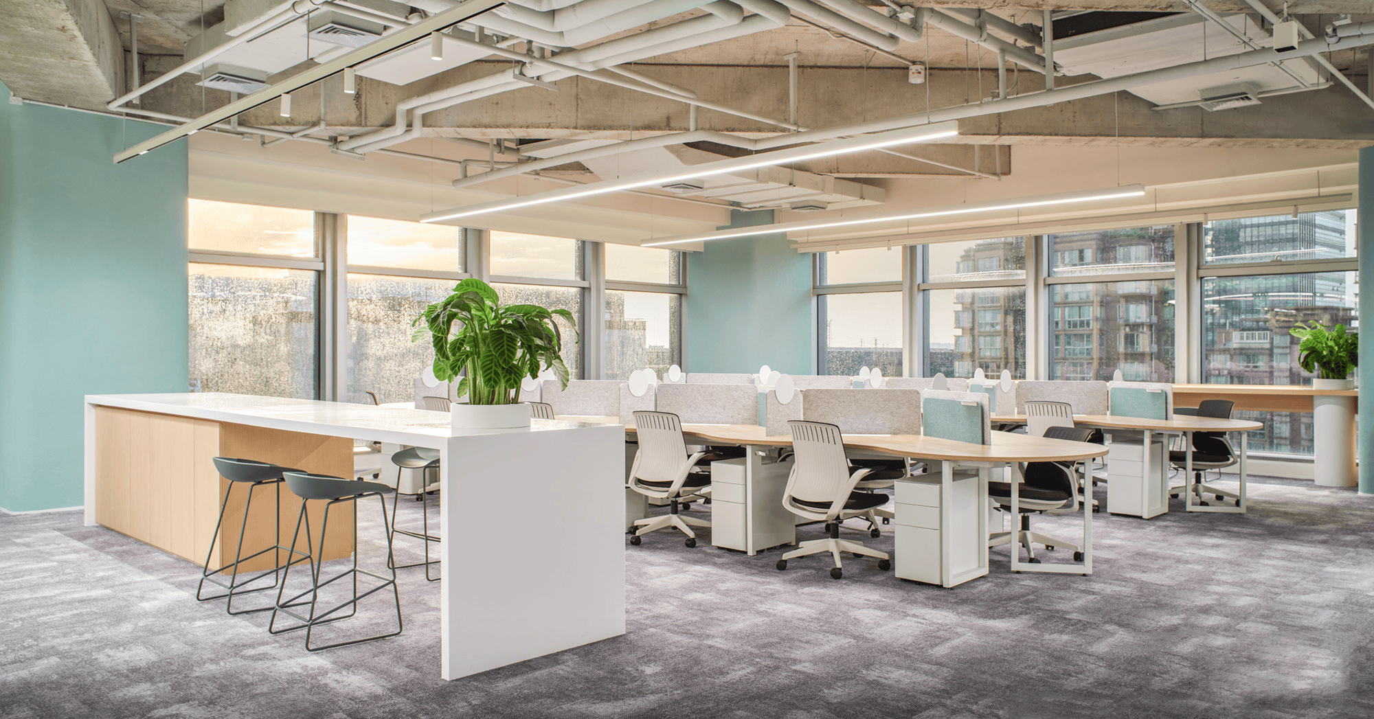 打造环保办公空间:绿色材料与自然美学的完美结合