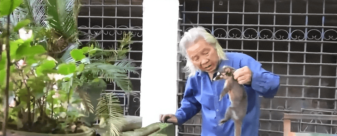 回顾:83岁倔老头,独自坚守动物园33年,只因为女儿一句遗言