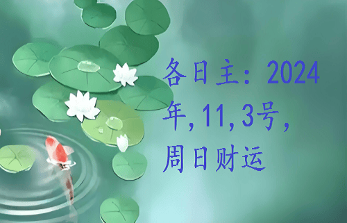 2024年 哪些人财运好 周日 11 明日运势 3号