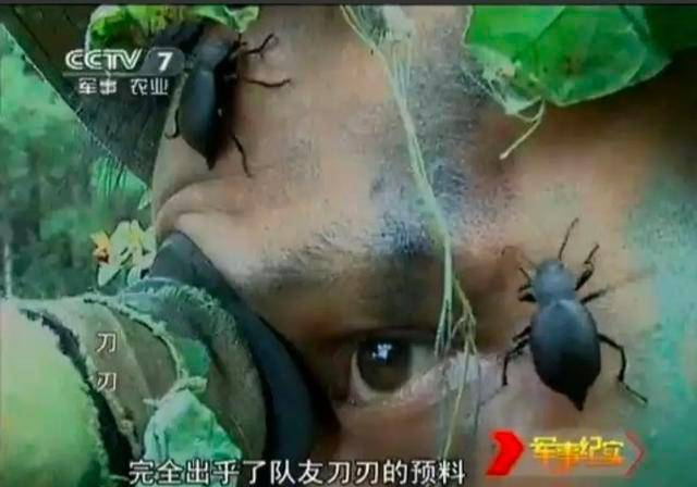 这只是基本功_阵地_敌军_敌人