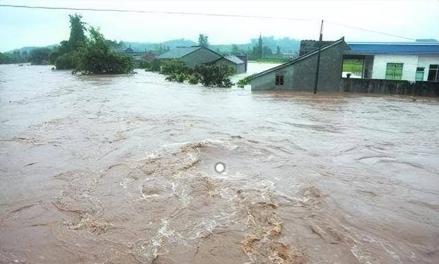 98年特大洪水,7岁女孩紧抱大树9小时获救,如今她的工作令人自豪