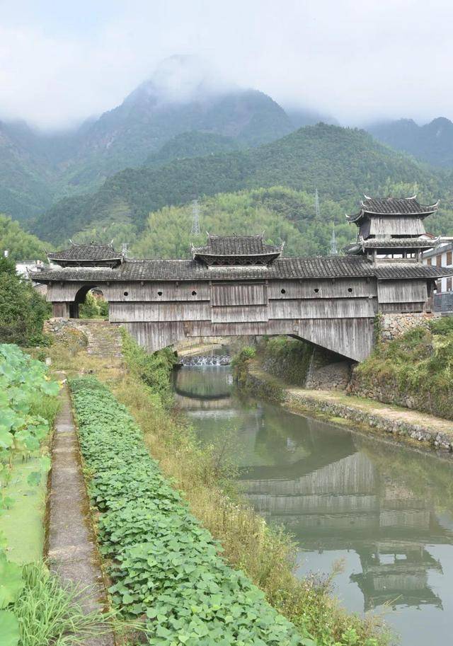 浙江月亮村图片