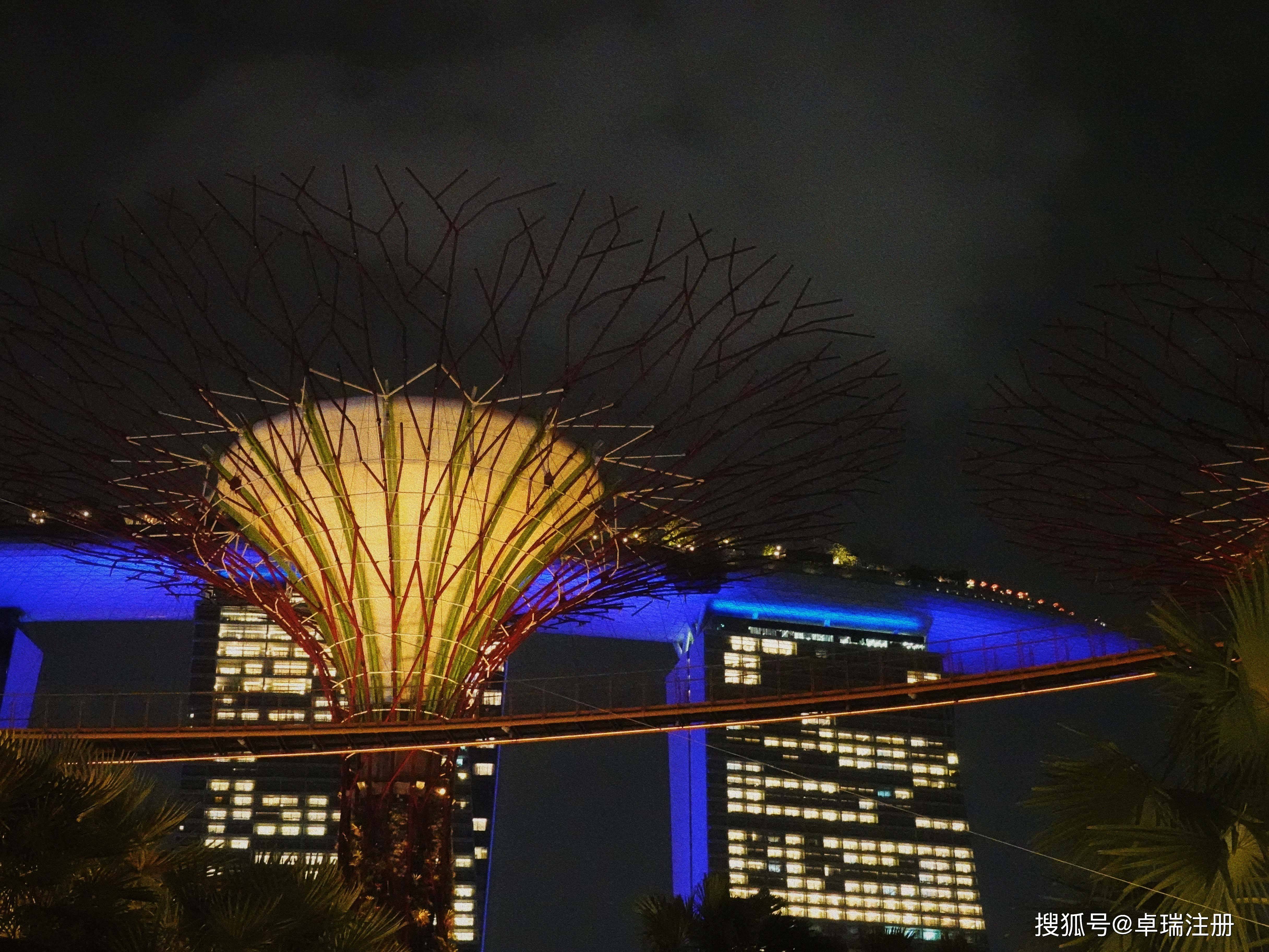 新加坡华侨“已暂停自主申请”通道！内地人开户之路被堵死？_搜狐网