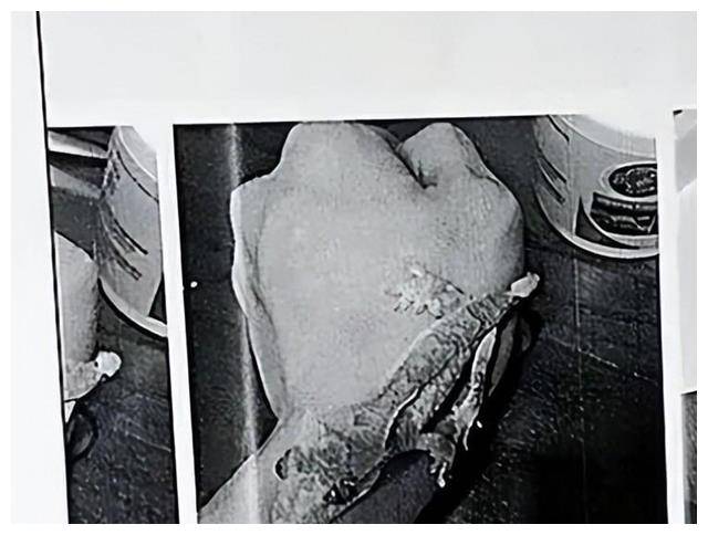 上海杀妻案纪实:藏尸冰柜105天,出轨情人到处旅游透支亡妻20万