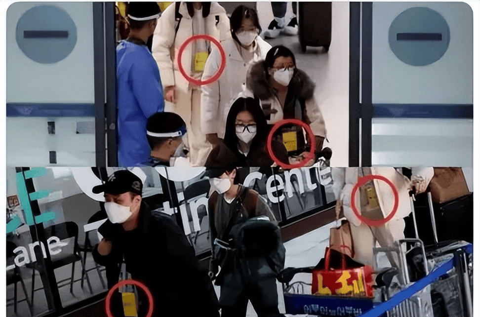 图片[9]-中日韩三国入境游客数量：日本3337万，韩国1067万，中国让人意外 -华闻时空