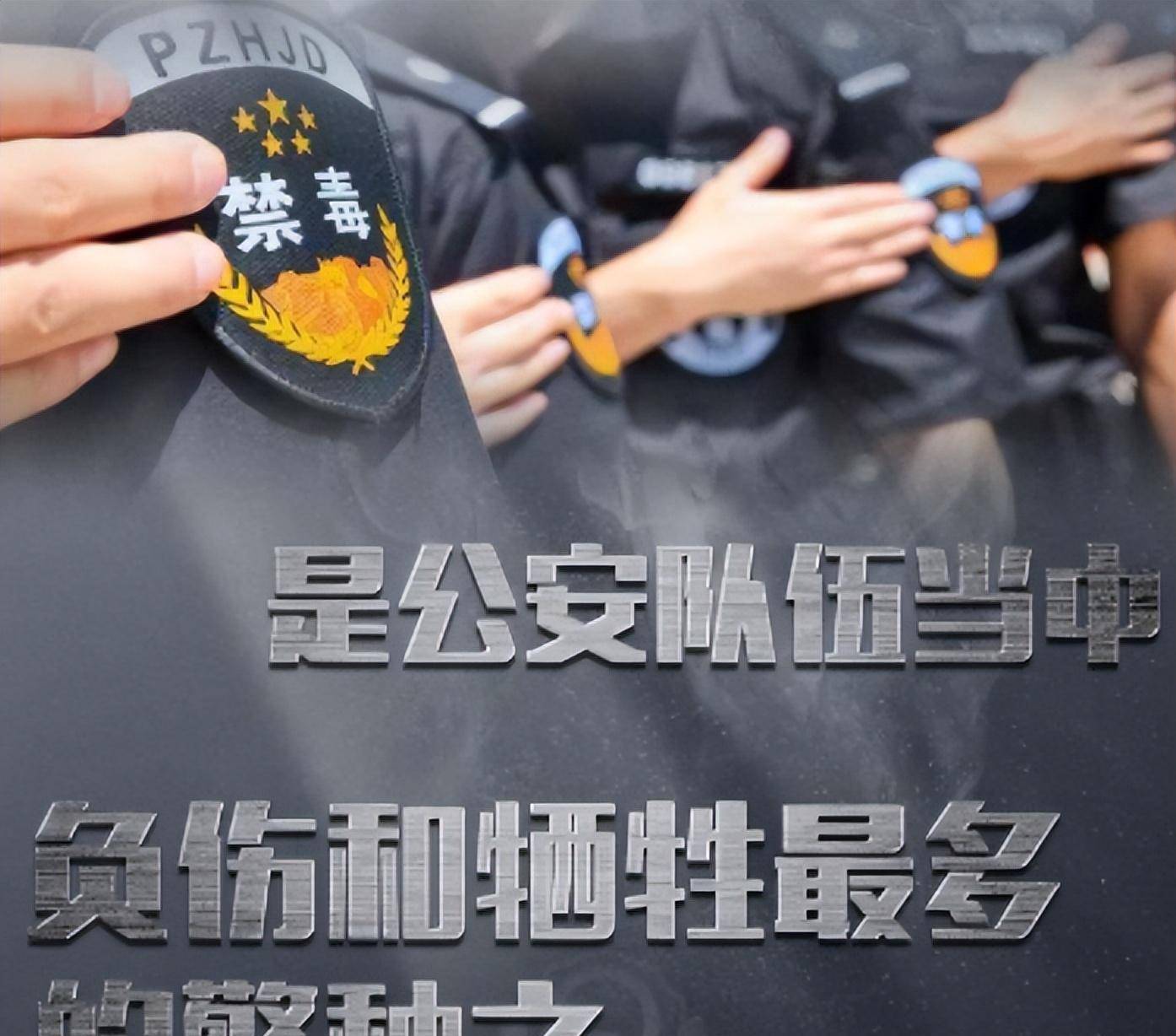 秘密任务缉毒警官不会输