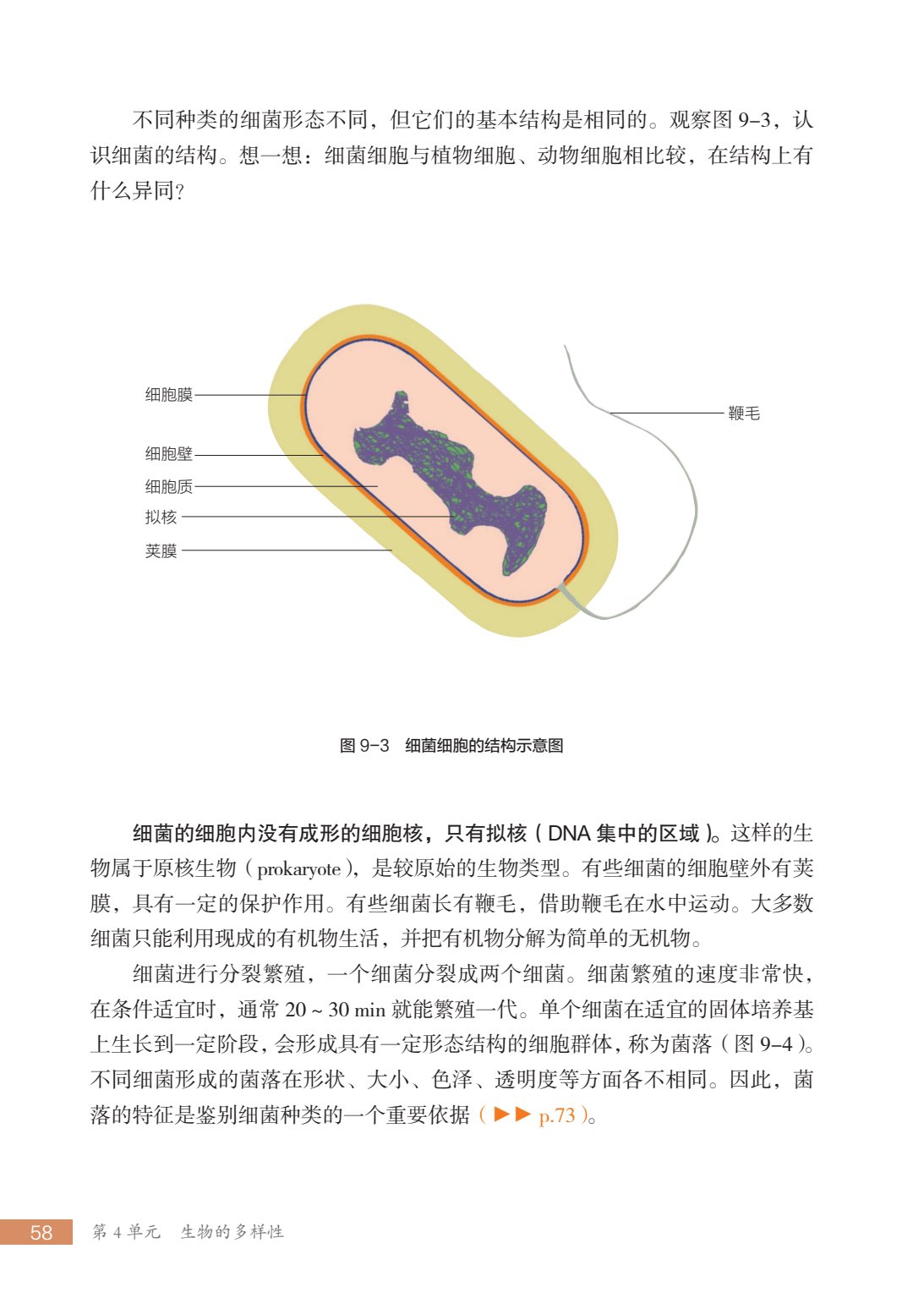 七下生物背书表(七下生物背诵口诀) 第1张 七下生物背书表(七下生物背诵口诀) 第1张