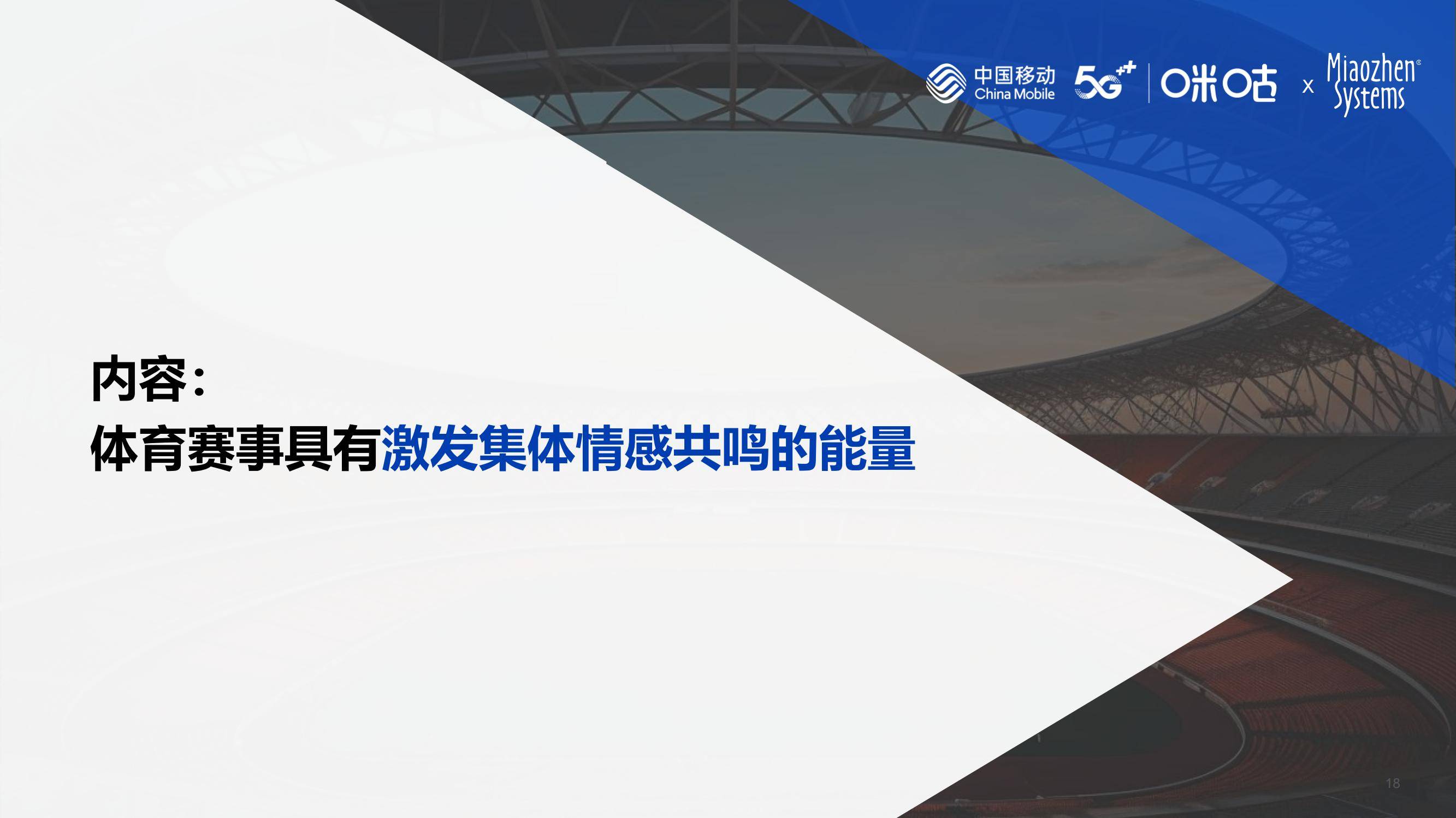 2024年中国体育营销价值高吗？中国体育营销价值与策略研究报告-报告智库