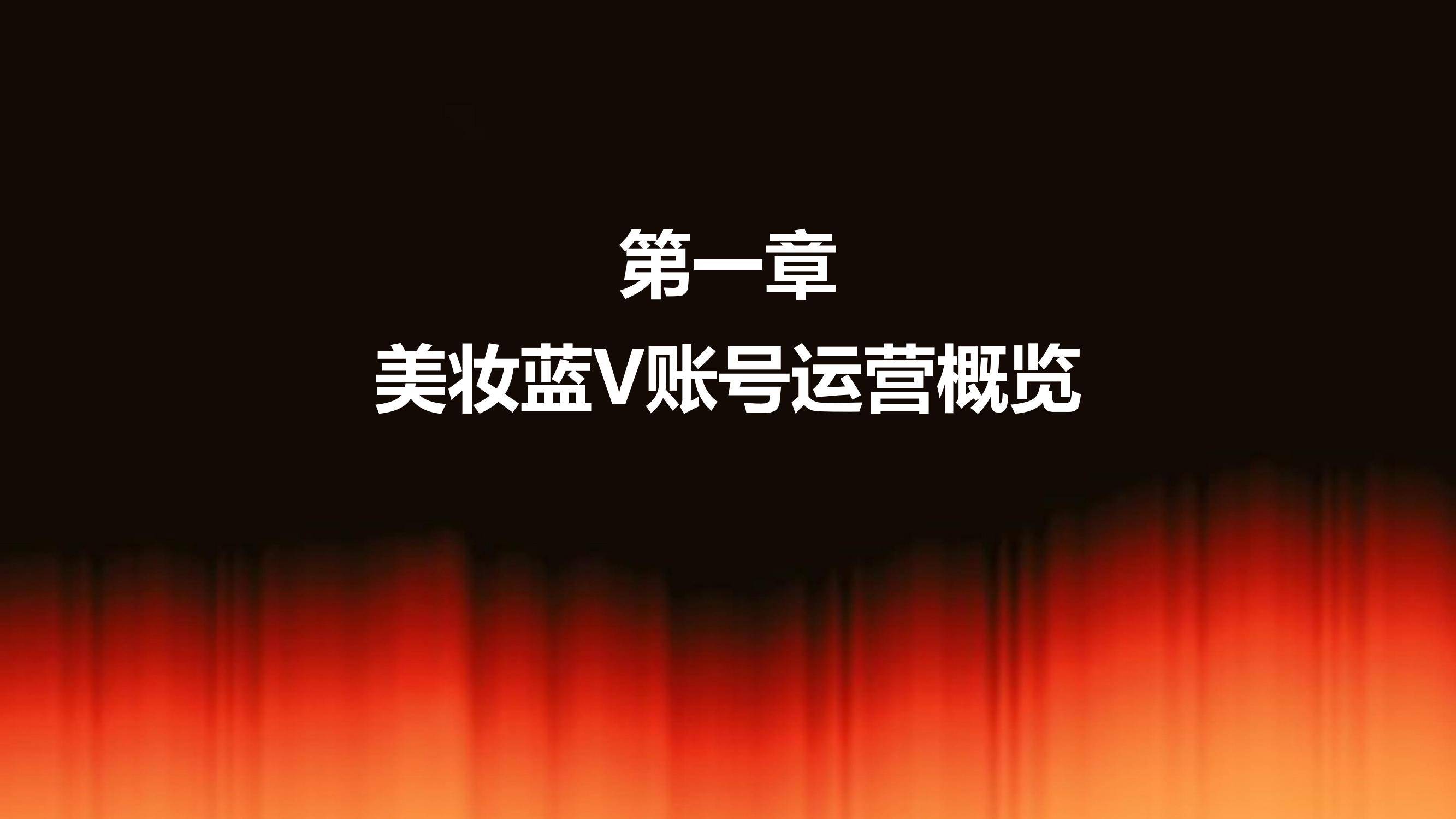 2025年美妆品牌蓝V社交运营策略解析，蓝V矩阵规模与用户互动特征-报告智库