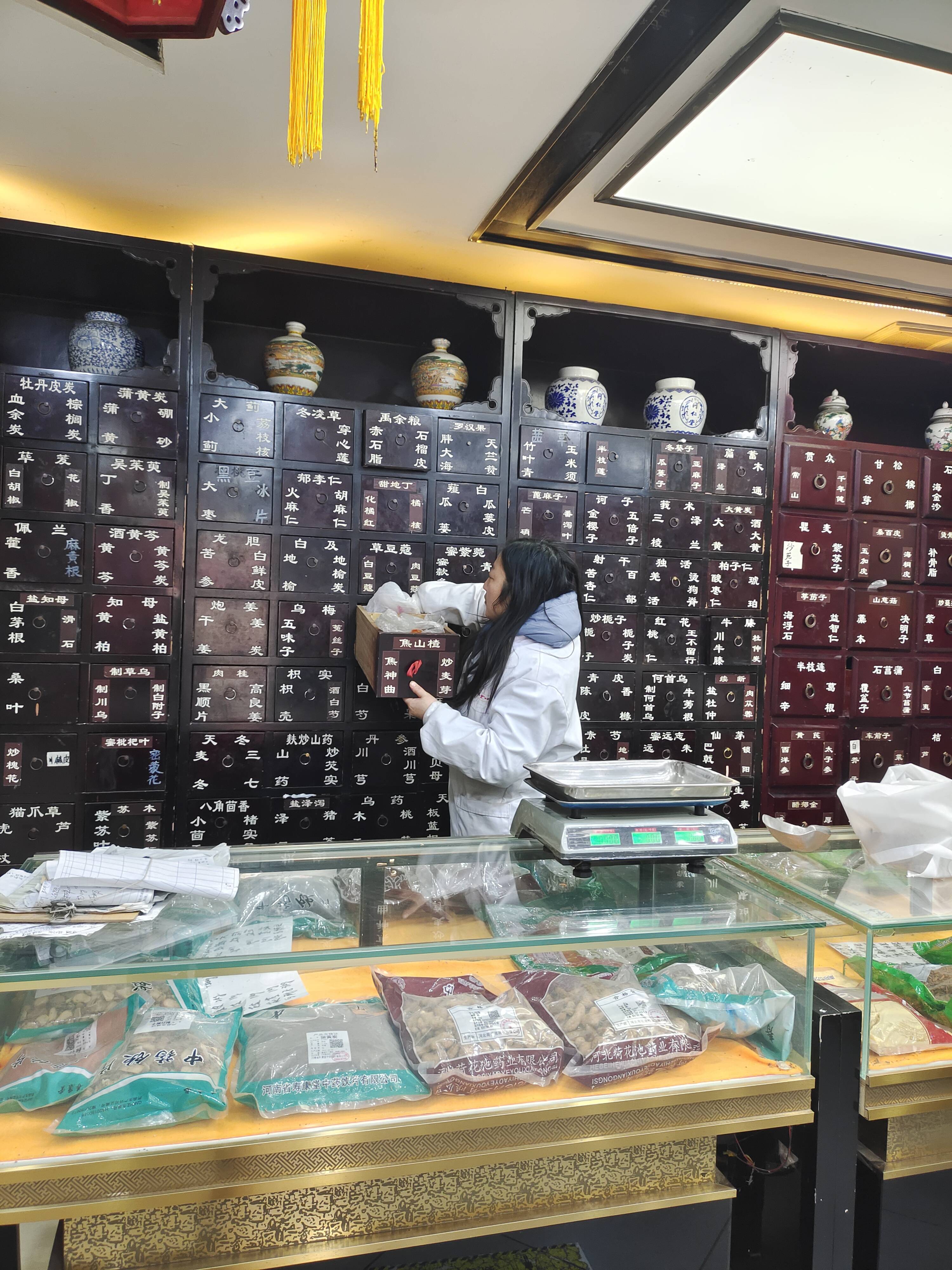 探秘南阳滋养堂国医职校:中医教育的创新典范