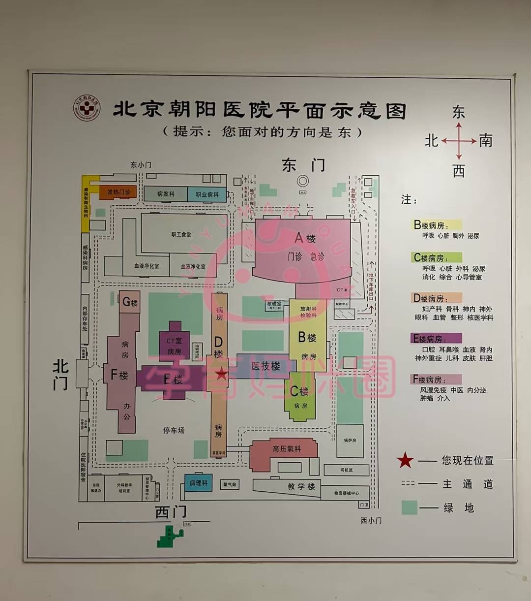朝阳医院门诊预约陪护与手续办理-北京朝阳医院陪护人员需要做核酸检测吗 