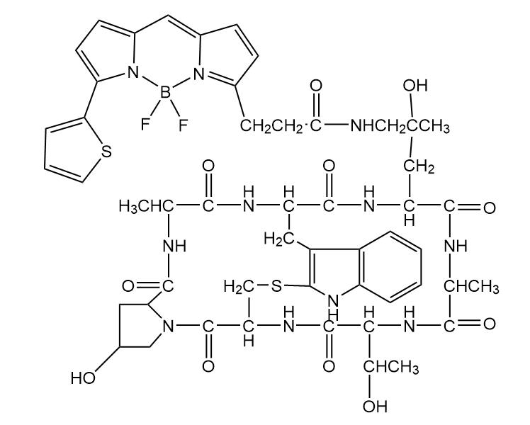 结构式:稳定性:bodipy染料的荧光属性对溶剂的极性,ph及溶剂种类不