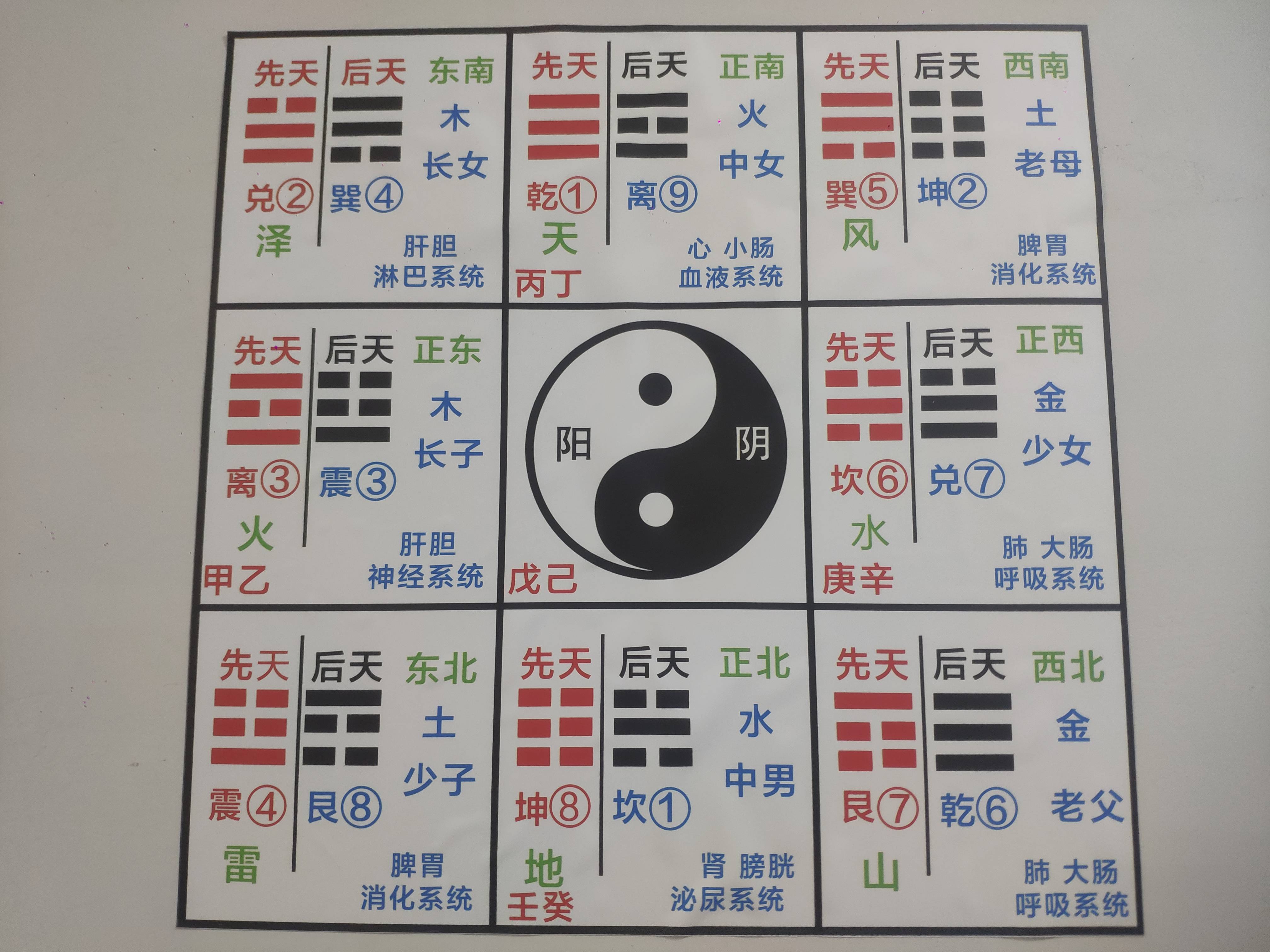 太极八卦阴阳养生图:五行,方位与人体系统的融合智慧