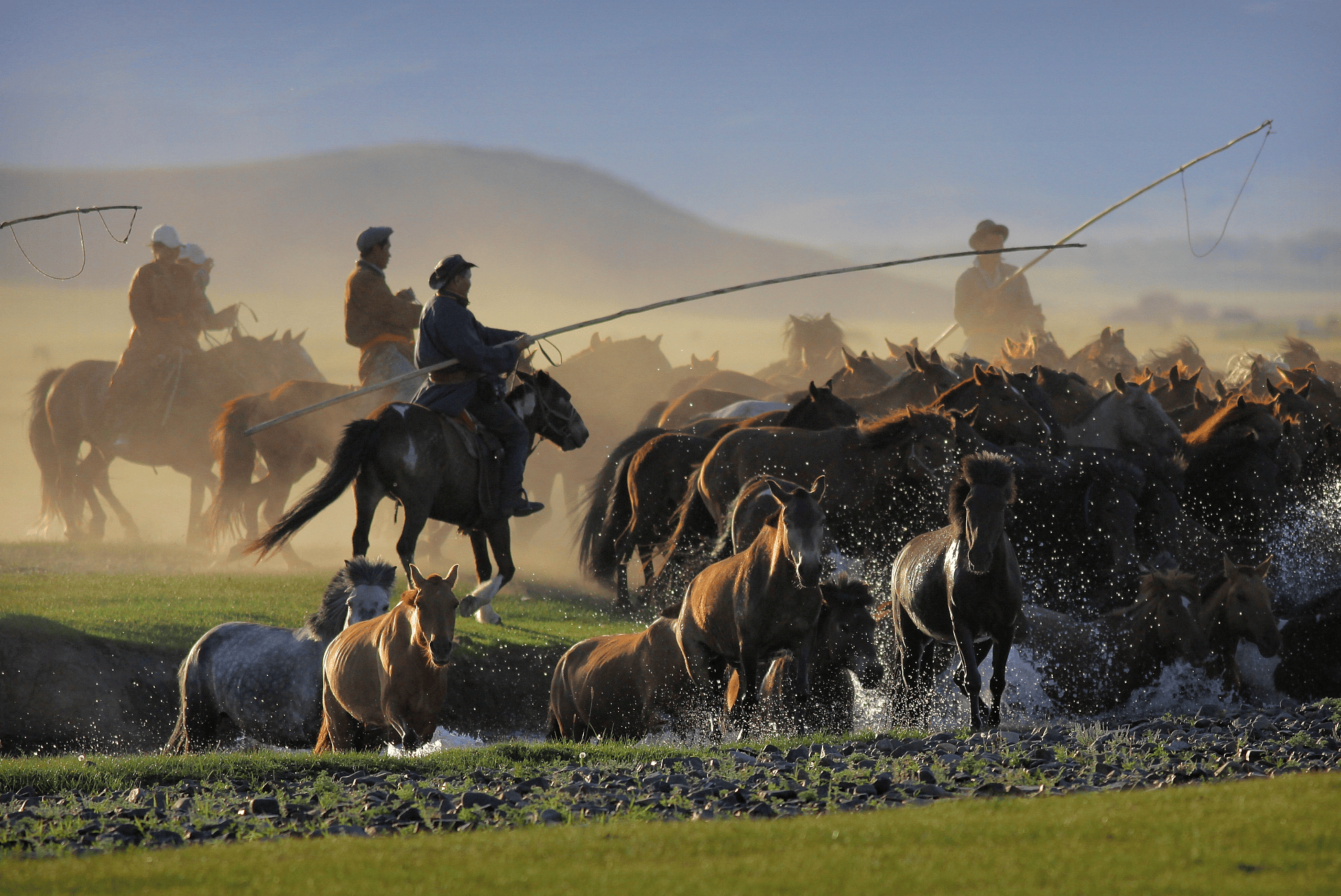 嚼一把千年时光:牛肉干的起源与游牧民族的生存智慧