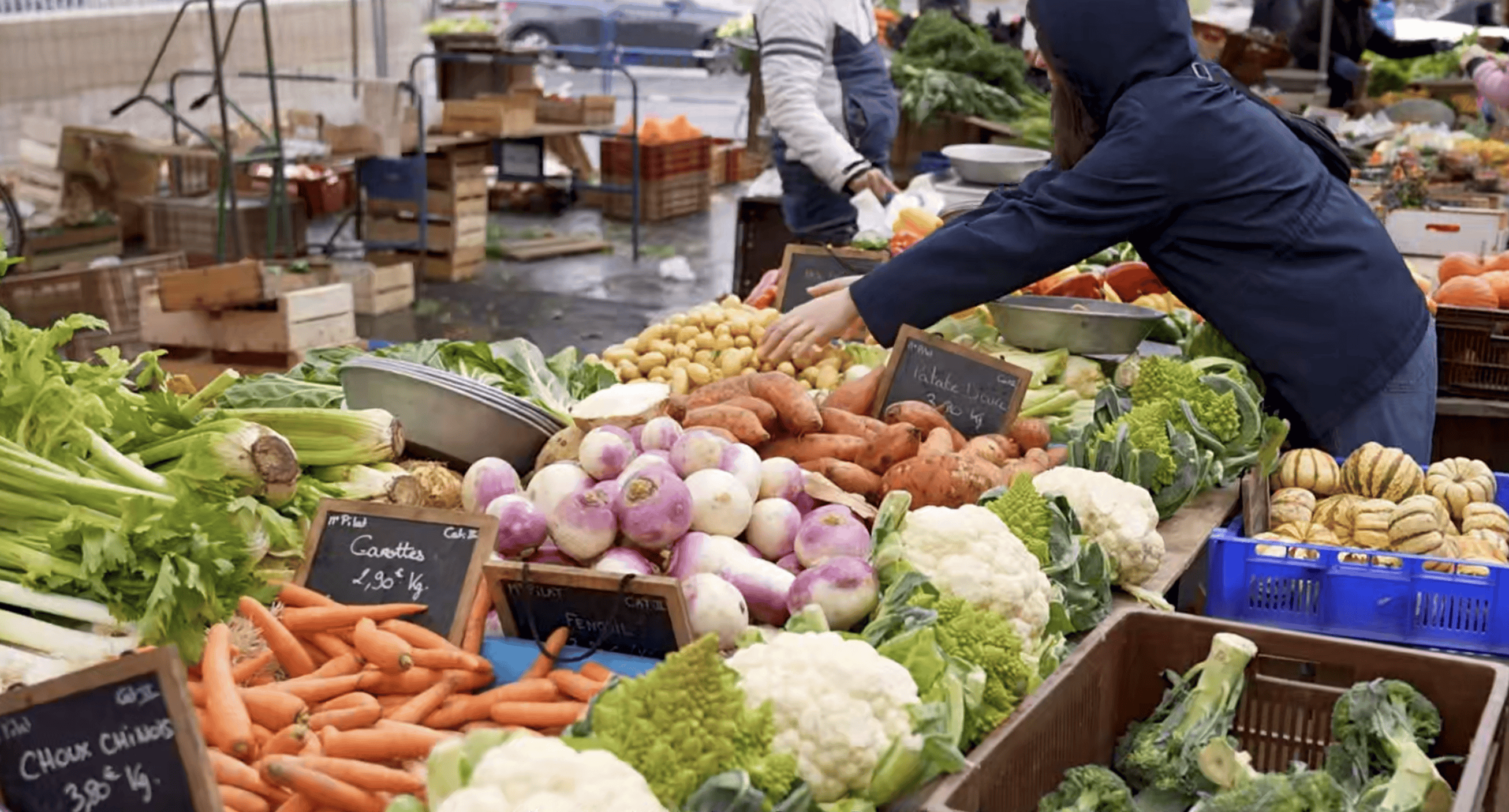 先睹为快|法国的减碳之道