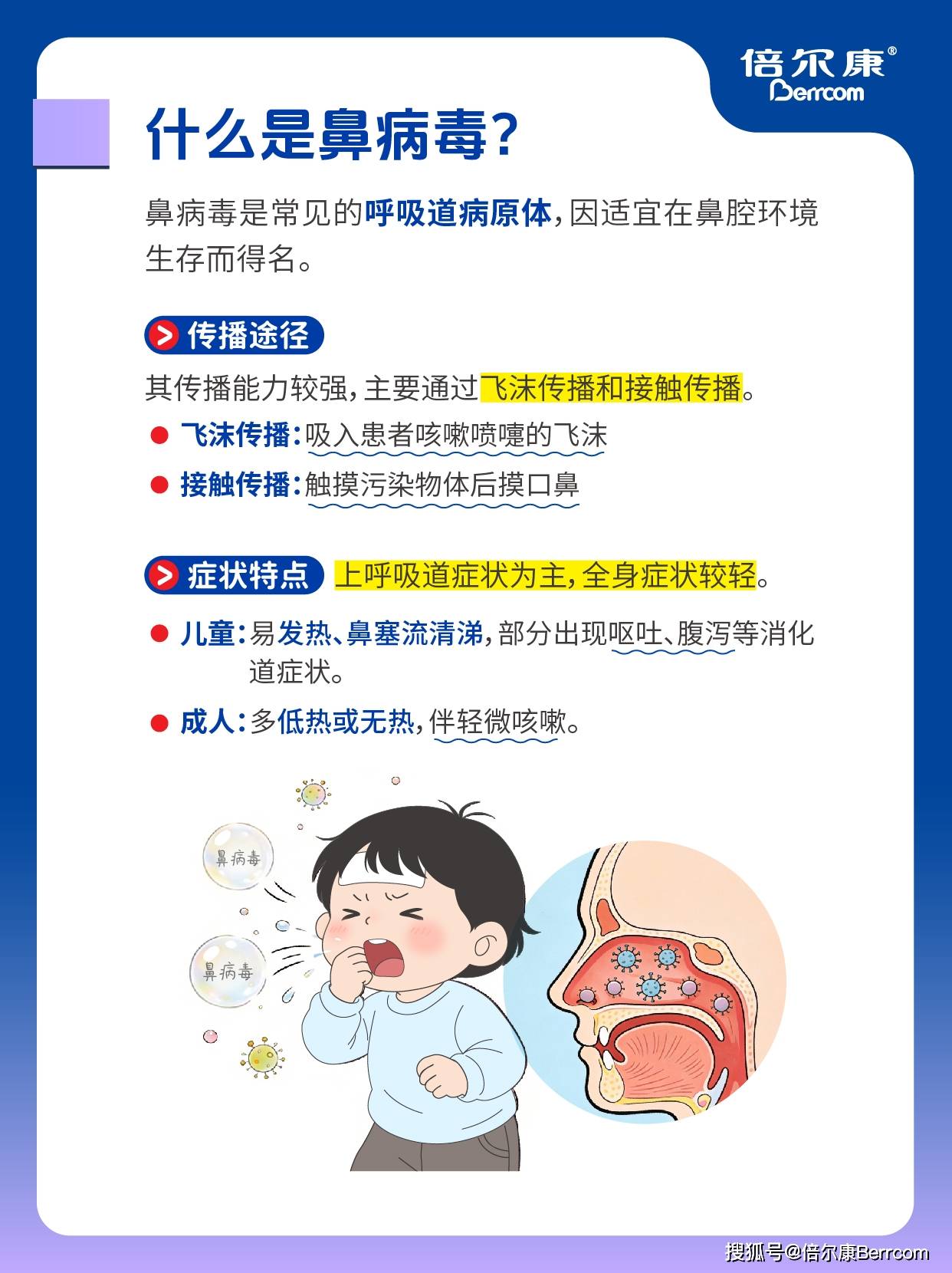 一文讲清鼻病毒流感病毒合胞病毒的区别?