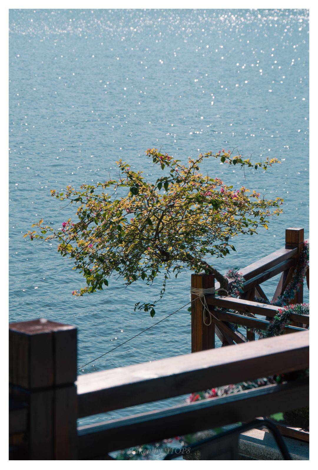 吕文扬：在画布上重构世界的色彩绘画大师