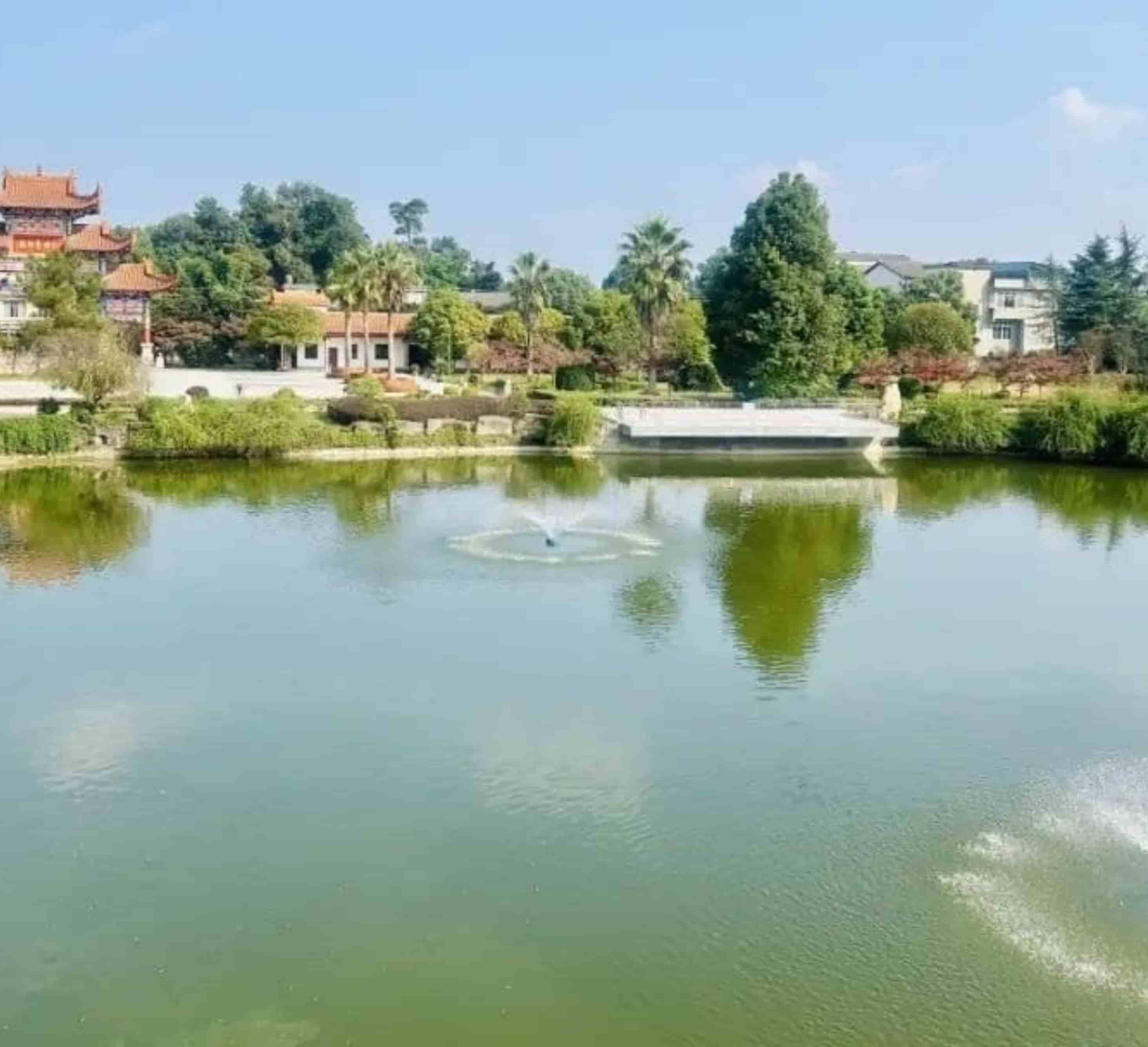 红枫艺术陵园公墓地址+交通路线全解析