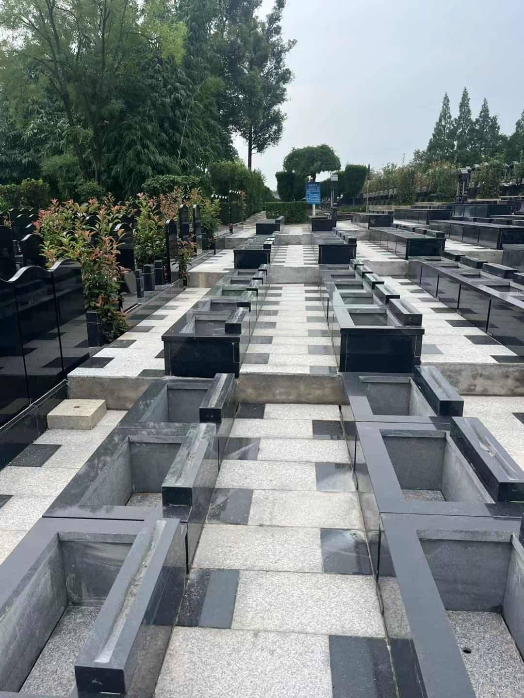 交通便利攻略全解析