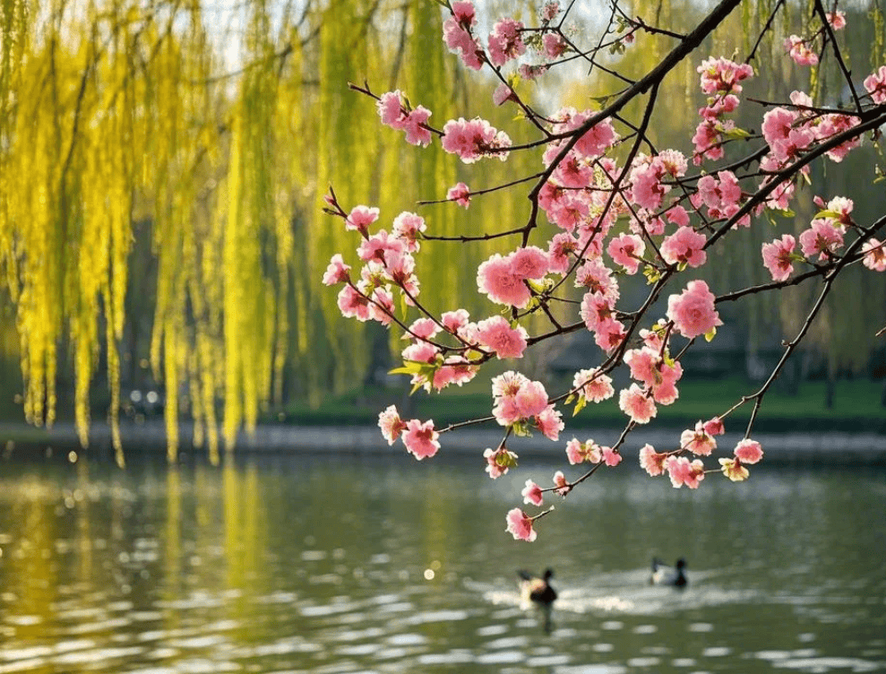 微信图片_20250301214501.png