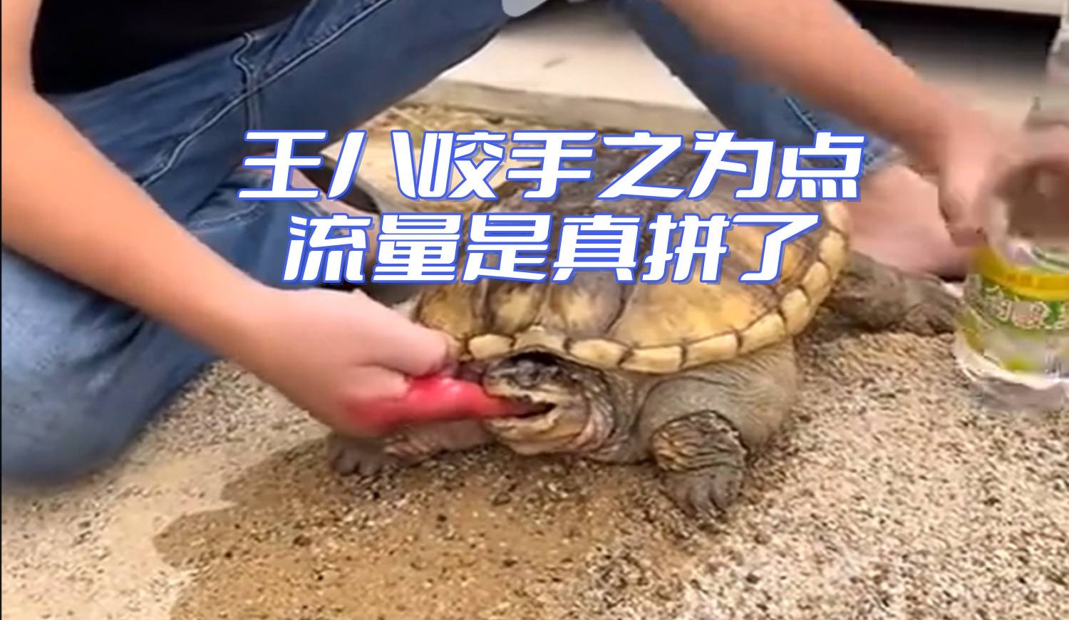 不决名4.jpg
