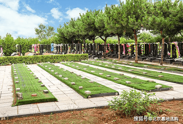 图片1.png111.png