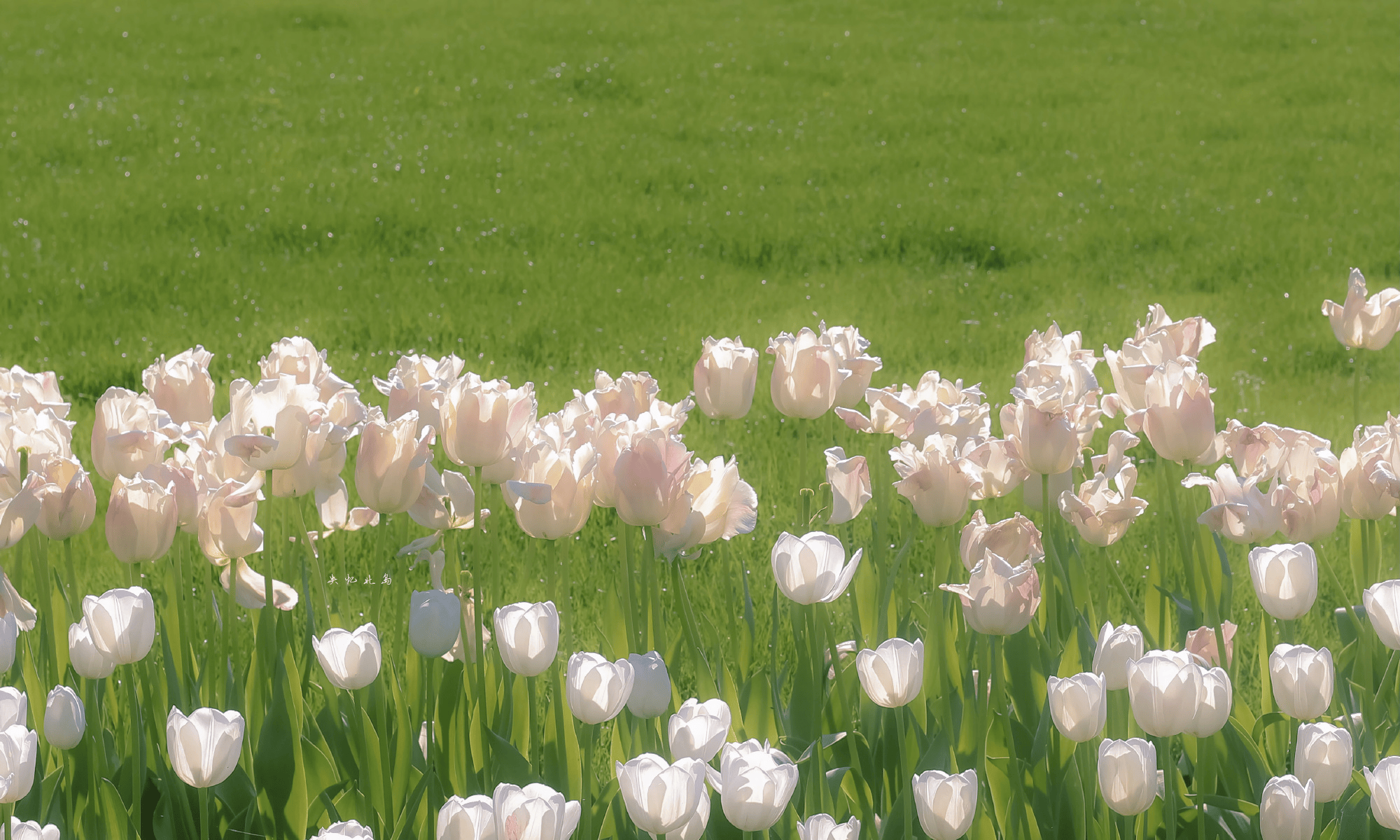 企业微信截图_35d84da5-8c60-42a2-9c95-032ecd3200e1.png