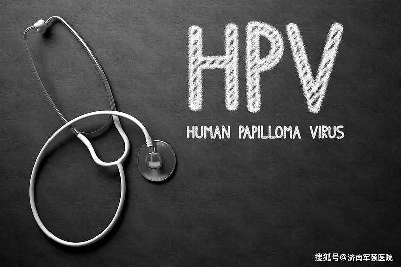 HPV 1224 (2).jpg