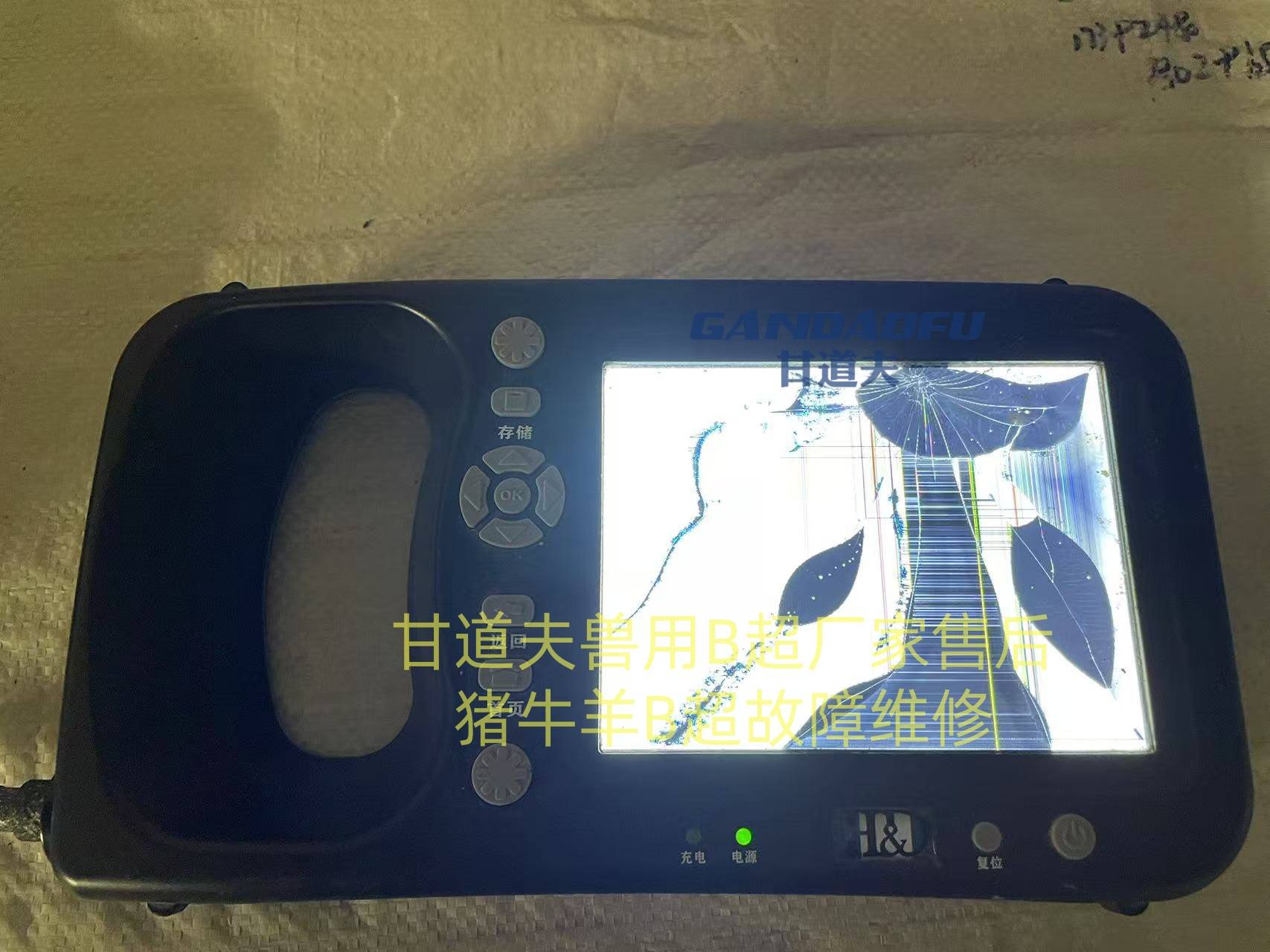 文章配图-1