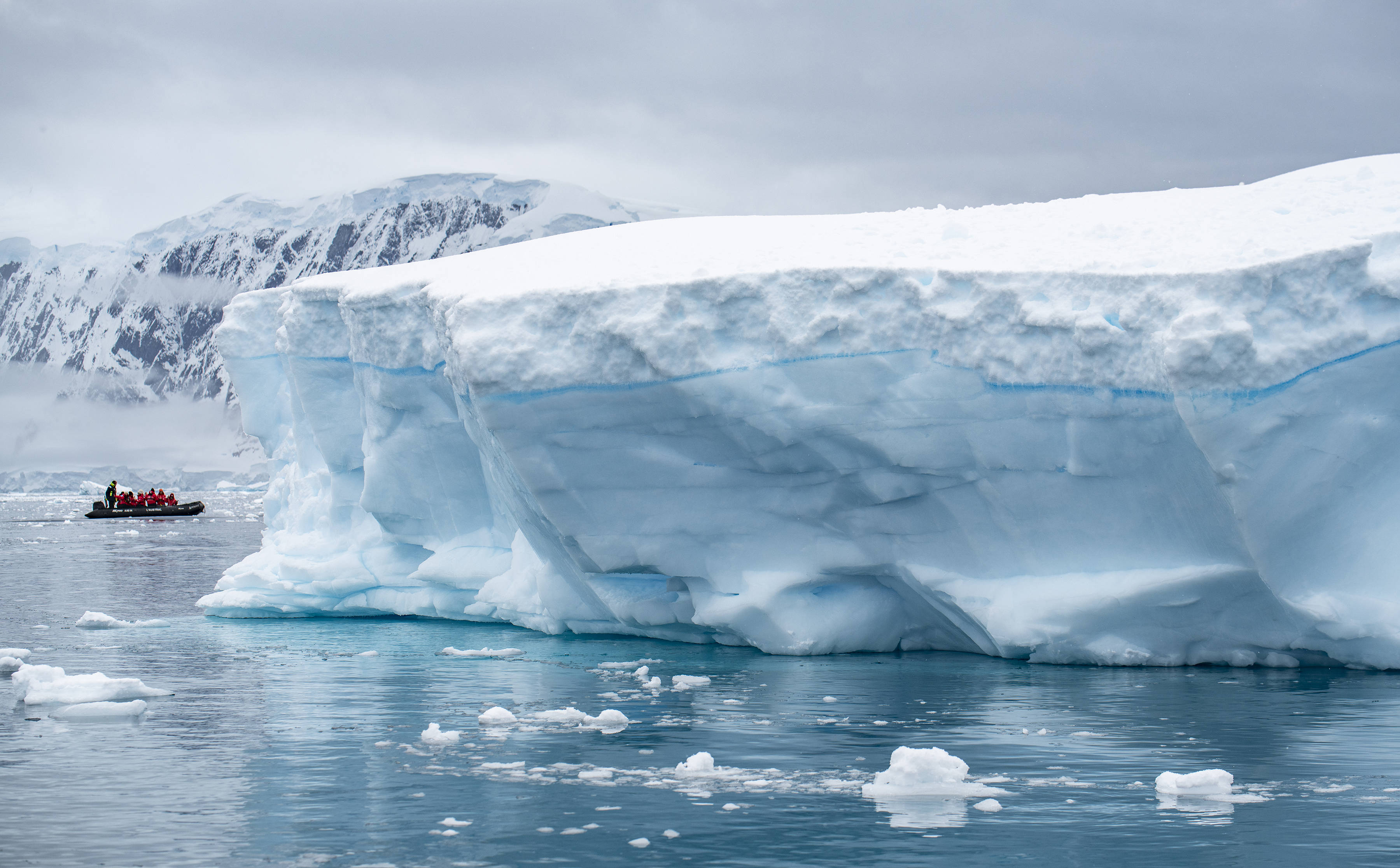 No-2191_AU0210125_Moureaux-Island_Antarctique©StudioPONANT_OlivierBLAUD.jpg