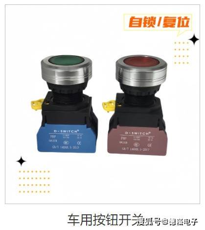 车用按钮开关.jpg