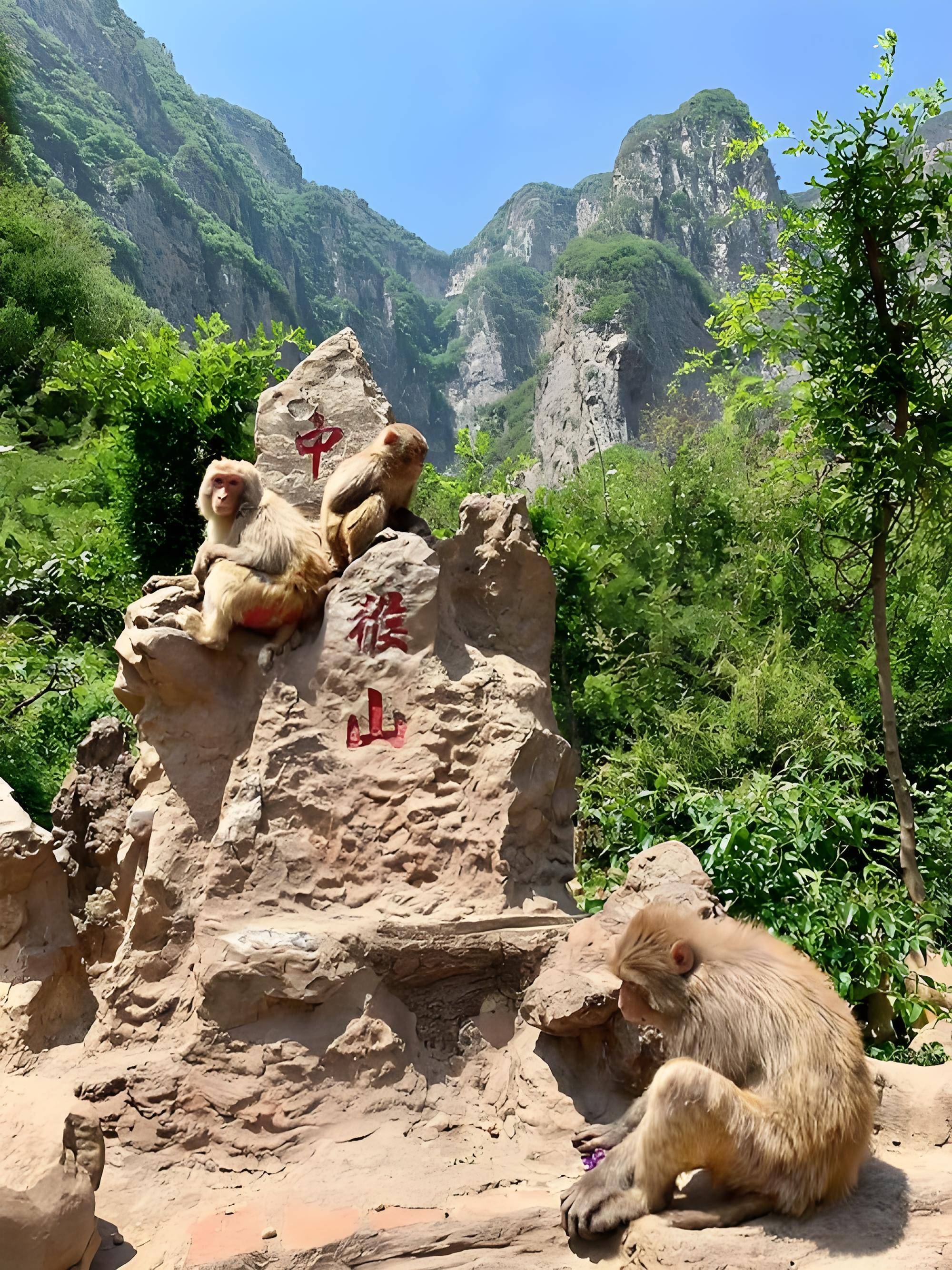 文章配图-1